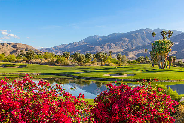 ゴルフコースでカリフォルニア州パームスプリングス（p ） - beauty beauty in nature golf beautiful ストックフォトと画像