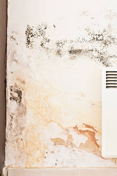 istock Rising Damp and Mildew or Mold on Wall behind Radiator 163641965