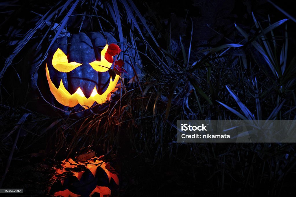 Halloween zucca - Foto stock royalty-free di Allegro