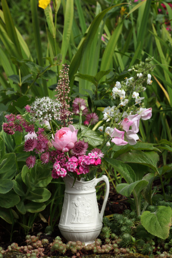 Pink and white garden flowers in a white jug with a green foliage background