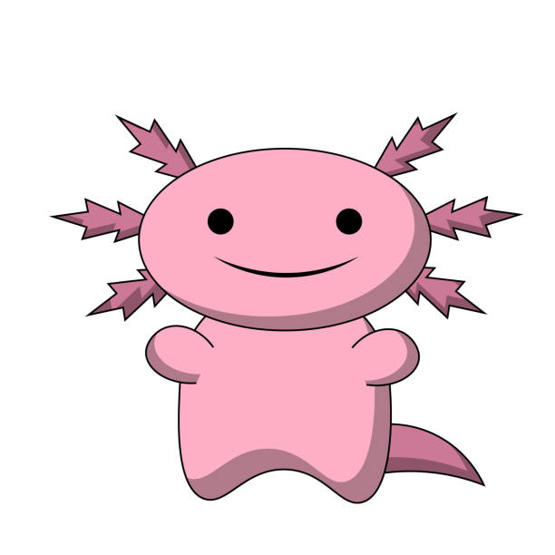 illustrazioni stock, clip art, cartoni animati e icone di tendenza di simpatico sorriso dei cartoni animati axolotl a colori - young animal sea life amphibians animals and pets