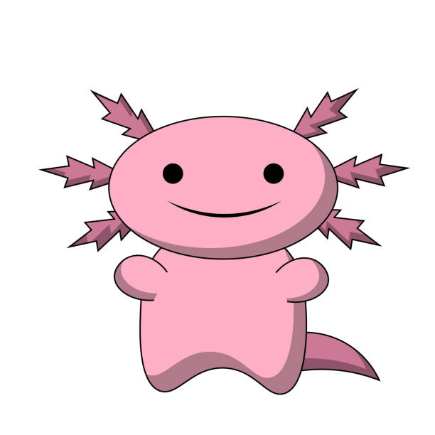 ilustrações, clipart, desenhos animados e ícones de sorriso bonito dos desenhos animados axolotl na cor - young animal sea life amphibians animals and pets