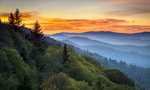 Great Smoky Mountains National Park Scenic Sunrise Landscape at Oconaluftee Great Smoky Mountains National Park Scenic Sunrise Landscape at Oconaluftee Overlook between Cherokee NC and Gatlinburg TN appalachian mountains stock pictures, royalty-free photos & images
