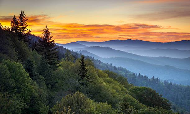 park narodowy great smoky mountains malowniczy wschód słońca krajobraz w oconaluftee - landscapes zdjęcia i obrazy z banku zdjęć