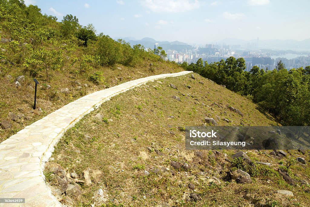 Hillside percorso - Foto stock royalty-free di Albero