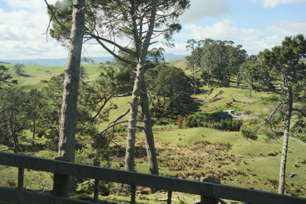 istock Country Side Road with Mountains and River 1636433880