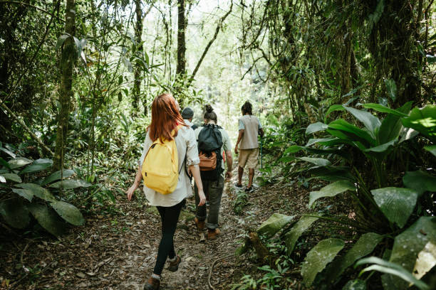 istock Friends hiking in the forest 1636436973