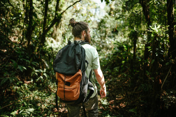 Free Stock Photo of Tourist hiking in the jungle forest | Download Free ...