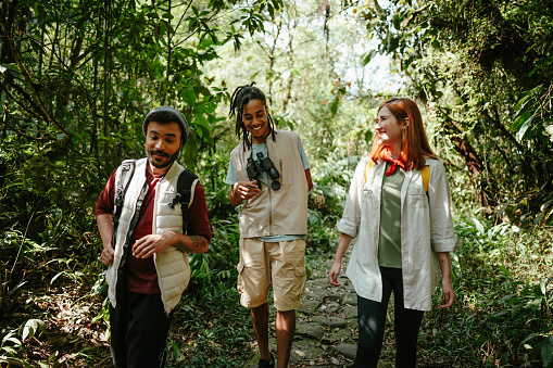 Friends hiking in the forest