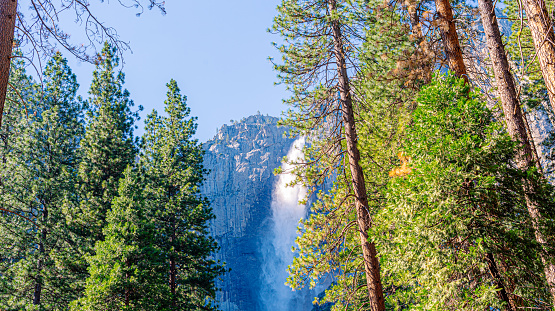 Yosemite National Park is in Californiaâs Sierra Nevada mountains. Itâs famed for its giant, ancient sequoia trees, and for Tunnel View, the iconic vista, Upper Yosemite Falls, Yosemite National Park, California