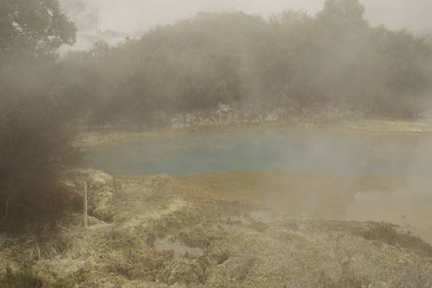 Geothermal Maori Territory at Mountains with Fog