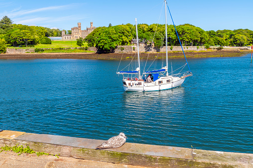 The imposing hilltop Lews Castle can be seen from the harbor port of the village of Stornoway, Scotland, as a seagull watches a boat sail on the sea.