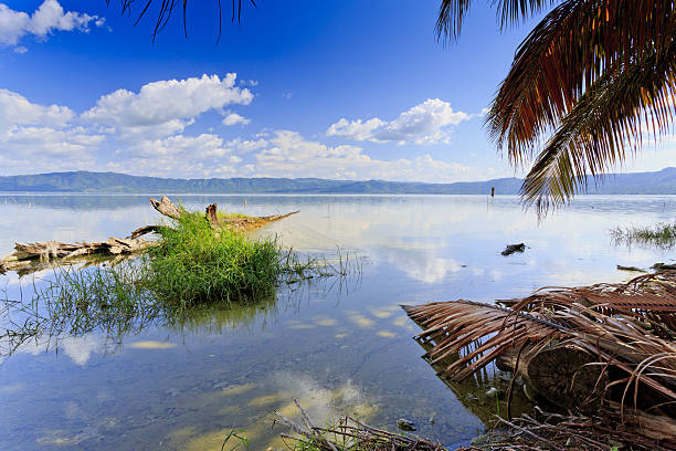 Lake Bosumtwe with palms