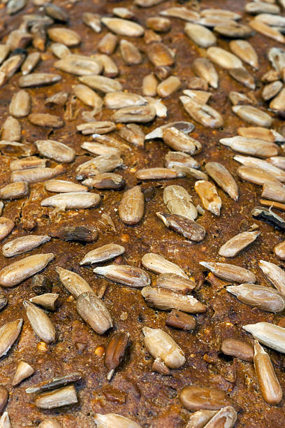 Sunflower seeds topping bread closeup stock photo