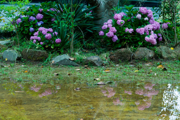riverside scenery