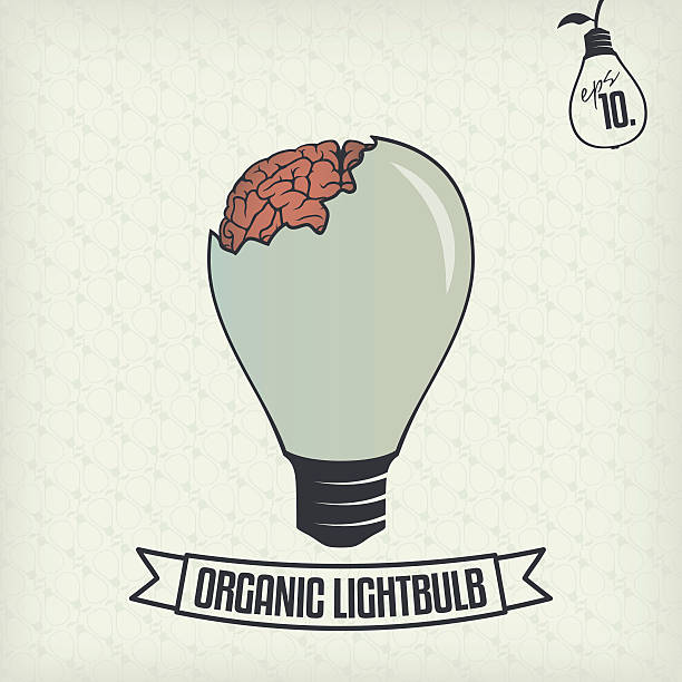 Organic lightbulb vector art illustration