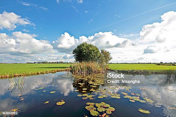 Photo libre de droit de Paysage Large Hollandais Typique Avec Prairies De Leau Et Cloudscapes banque d'images et plus d'images libres de droit de Bétail