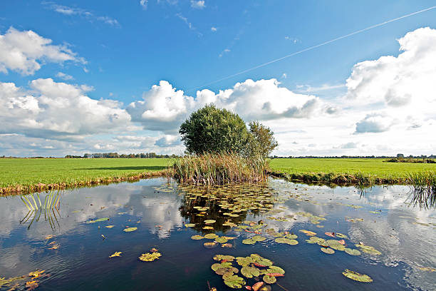 istock Typical wide dutch landscape with meadows, water and cloudscapes 163651992
