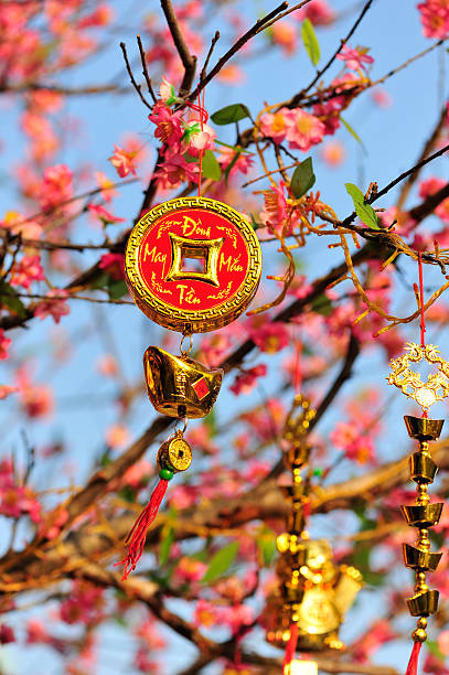 istock Ornament of prosperity on cherry blossom tree 163652504