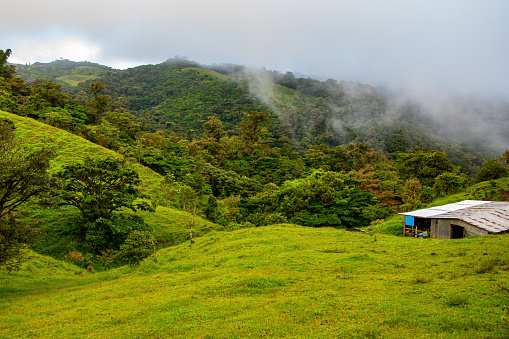 Wide angle photo of rolling hills and trees, in part of the Monteverde Cloud Forest in Costa Rica, The roof of a solitary building is visible in the forefront, clouds are cascading over the hills.