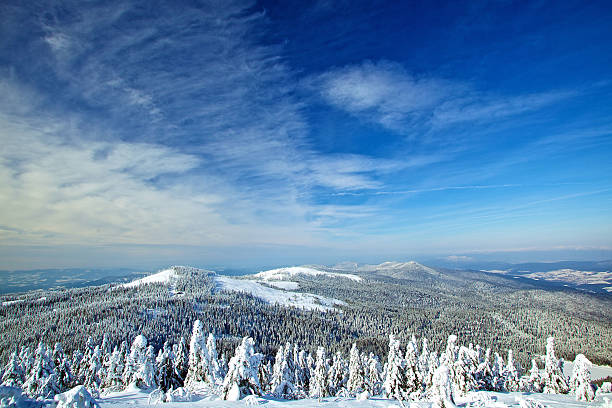 istock Winter landscape of the Bavarian Forest 163653512