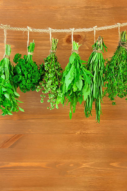 istock Fresh Herbs Collection is Hanging and Wooden texture 163654026