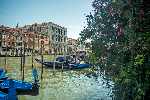 VENEZIA, ITALY - August 18, 2023: gondolas docked at the port, in the boat parks of venice