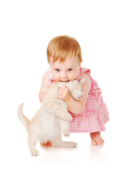 istock Little girl playing with kitten 163659938