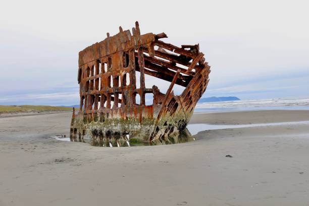 istock Wreck of the Peter Iredale 1636613057