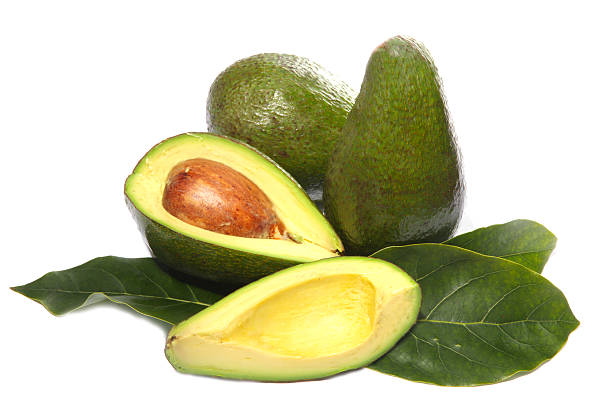 avocado fruit on a white background stock photo