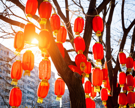 Tree hung with red lanterns, a Chinese traditional festival