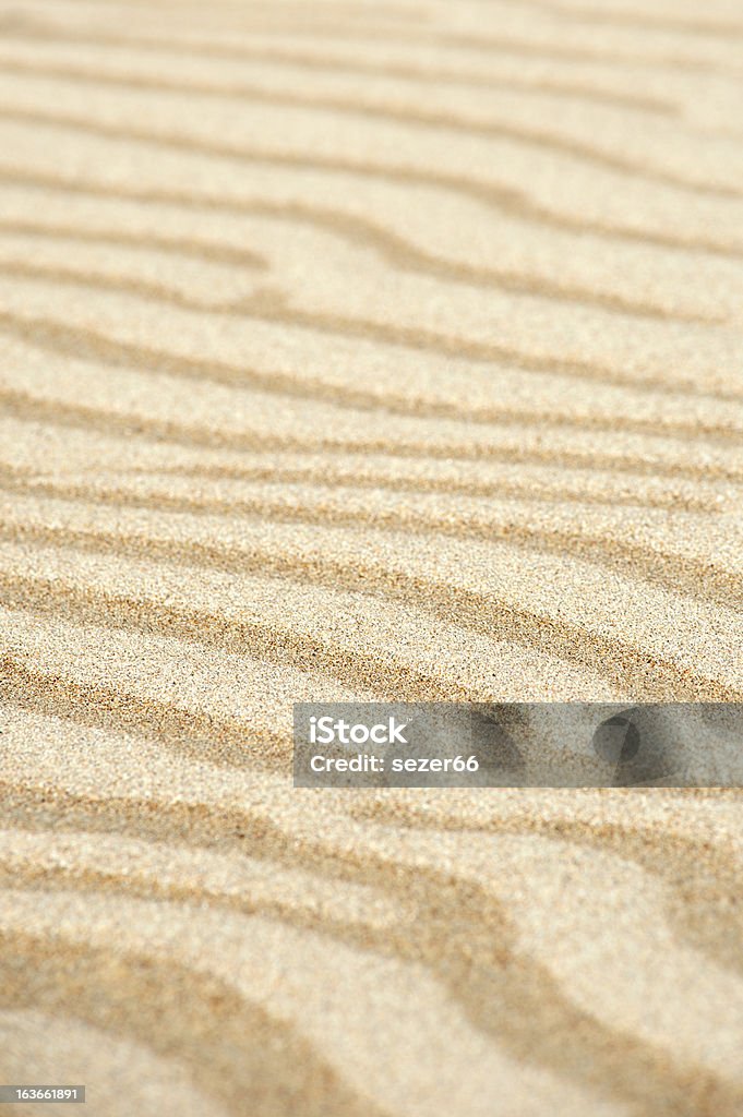Seca e areia molhada - Royalty-free Amarelo Foto de stock