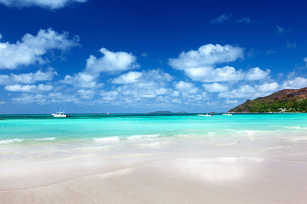 istock beach at Praslin island, Seychelles 163662070