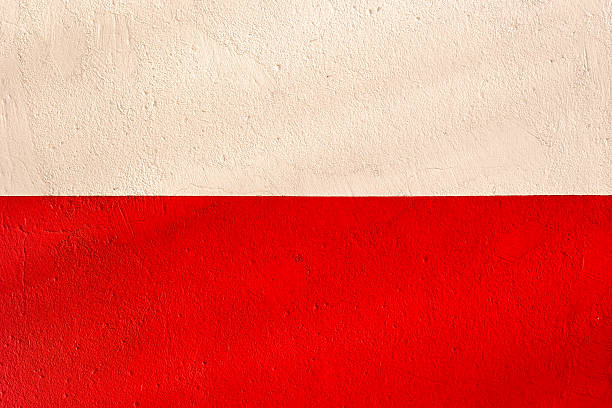 istock Polish flag with the texture of plaster wall 163664661
