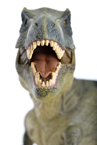 Tiranosaurio Cara Foto de stock y más banco de imágenes de Recortable - Recortable, Tiranosaurio, Animal extinto - iStock Tiranosaurio Cara Foto de stock y más banco de imágenes de Recortable - Recortable, Tiranosaurio, Animal extinto - iStock