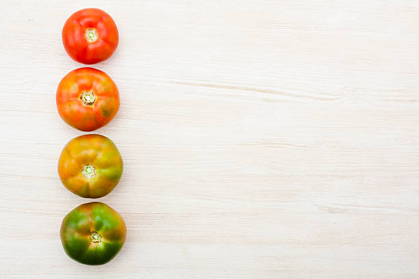 помидоры ripen процесс - evolution progress unripe tomato стоковые фото и изображения