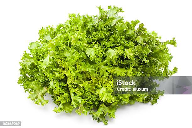 Escarole Stock Photo - Download Image Now - Endive, Lettuce, Freshness