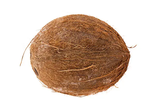 Coconut on white background