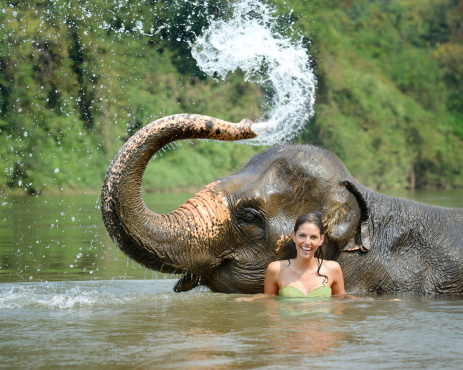 Beautiful female tourist bathing with an Elephant in the tropical rain forest in North Thailand. Nikon D800e. Converted from RAW.