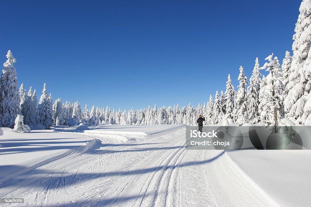 Ski corredor en un hermoso invierno day.Rogla, Eslovenia - Foto de stock de Actividades recreativas libre de derechos