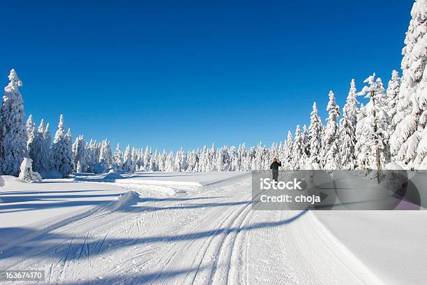 Corredor De Esqui No Inverno De Bonito Dayrogla Slovenia - Fotografias de stock e mais imagens de Ao Ar Livre