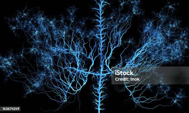 Abstract Neural Network Stock Photo - Download Image Now - Human Nervous System, Connection, Nerve Cell