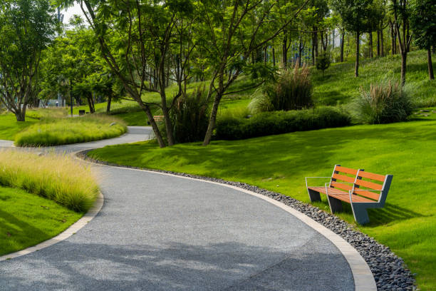 tranquil urban park with glass meadows and footpath.