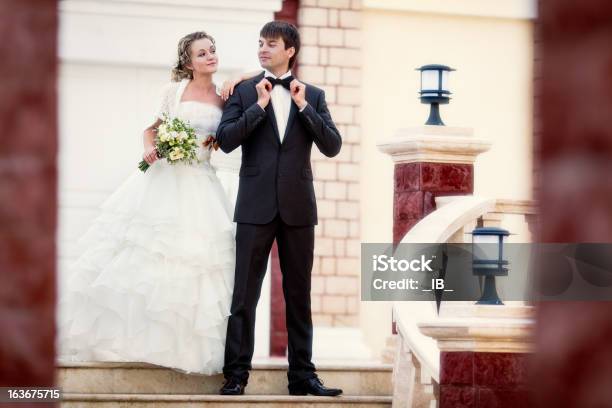 Linda Elegante Casal Feliz Newlyweds - Fotografias de stock e mais imagens de Abraçar - Abraçar, Adulto, Amor