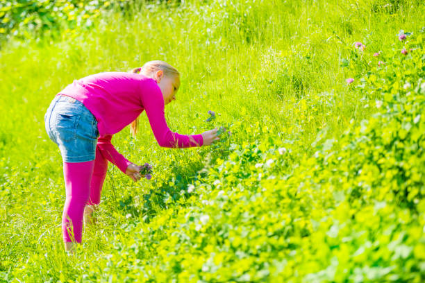 istock Little girl in a blooming meadow 163675799