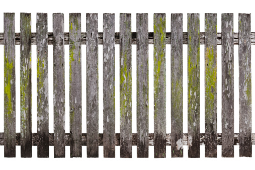 Very old wood picket fence, isolated on white, clipping path included.