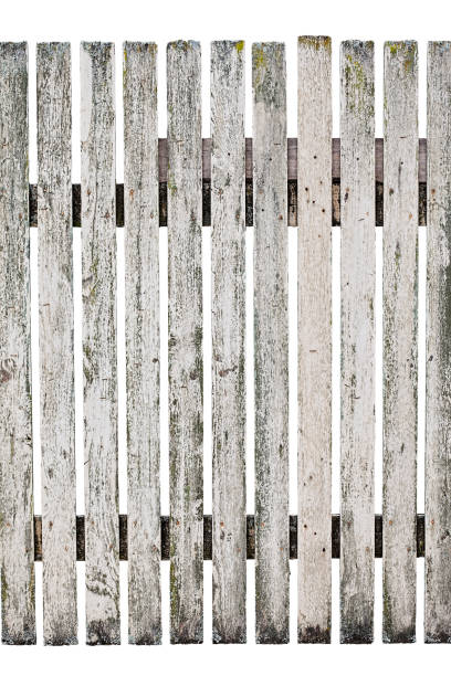 istock Very old wood picket fence. 163676330