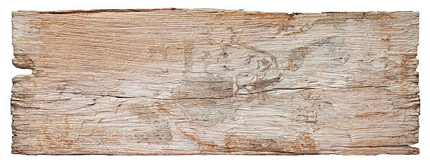 vieux morceau de bois blanc patiné à repasser. - driftwood wood textured isolated photos et images de collection