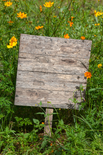 Old wooden sign board in a beautiful meadow of wild flowers.