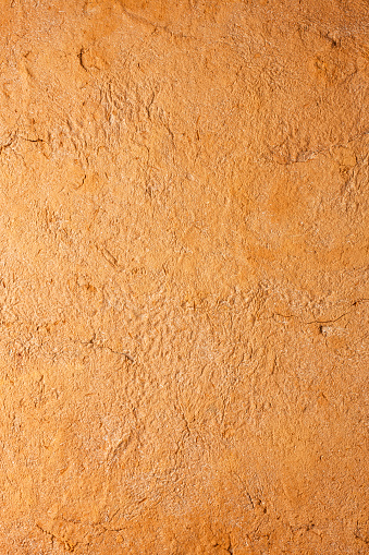 Terracotta background.